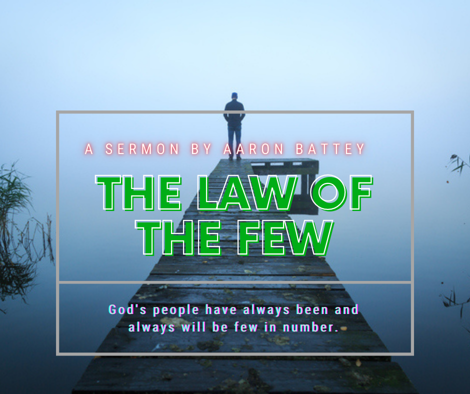 The-Law-of-the-Few-cover Other Sermons